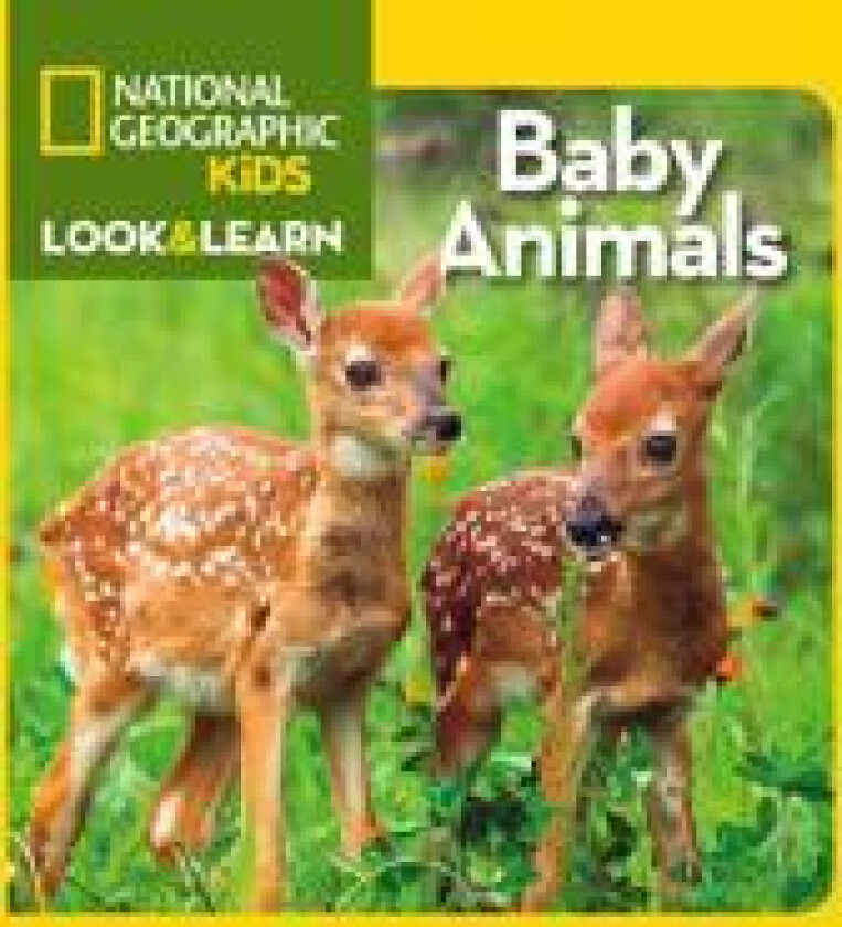 Look and Learn: Baby Animals