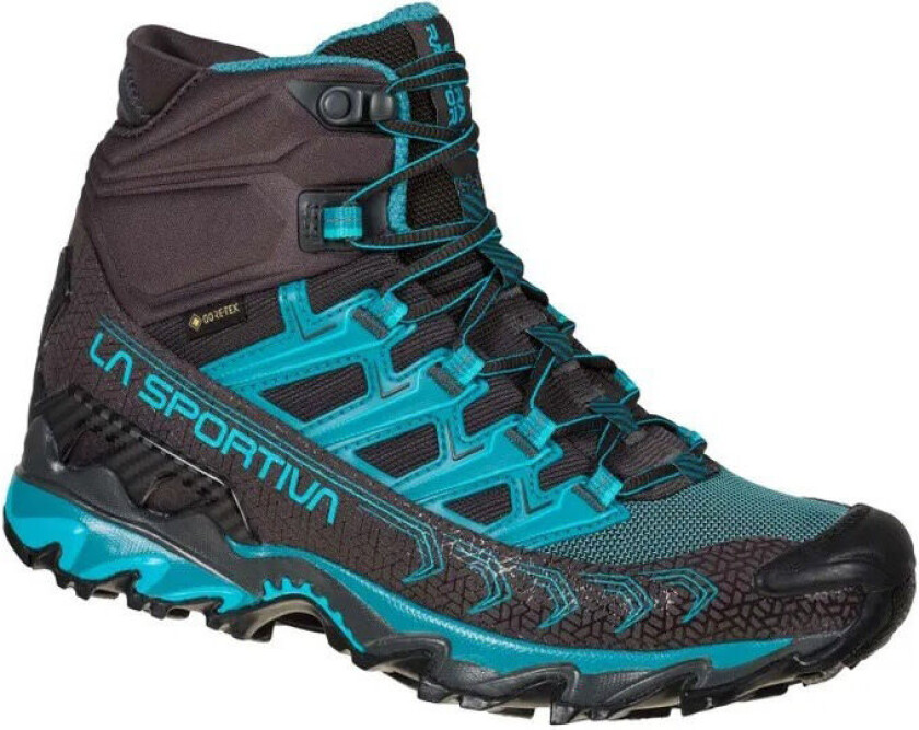 Ultra Raptor II Mid GTX Dame Carbon/Topaz 36 ½