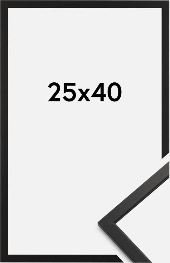 Ramme Edsbyn Akrylglass Svart 25x40 Cm