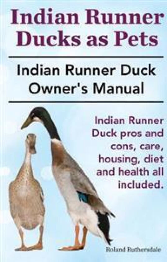 Indian Runner Ducks as Pets. Indian Runner Duck pros and cons, care, housing, diet and health all included.