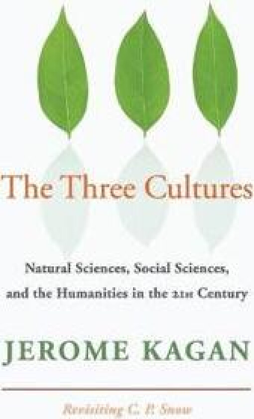 The Three Cultures