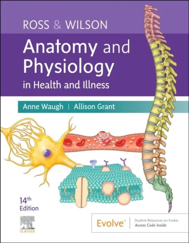 Ross & Wilson Anatomy and Physiology in Health and Illness av Anne (School of Acute and Continuing care Nursing Napier University Edinburgh UK) Wa