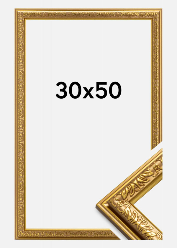 Ramme Nostalgia Akrylglass Gull 30x50 Cm