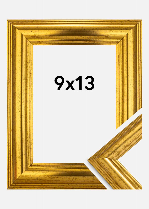 Ramme Västkusten Gull 9x13 Cm