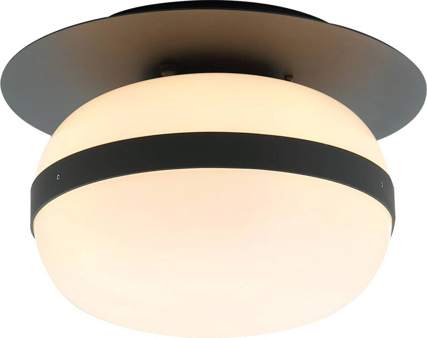 Palma taklampe med glasskjerm