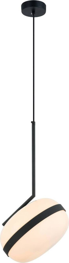 Palma hengelampe laget av glass