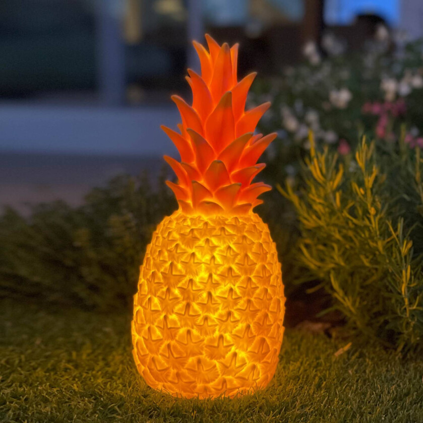 Pinacolada dekolampe rosa RGBW