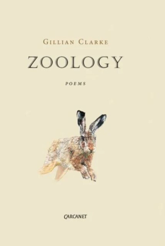 Zoology av Gillian Clarke