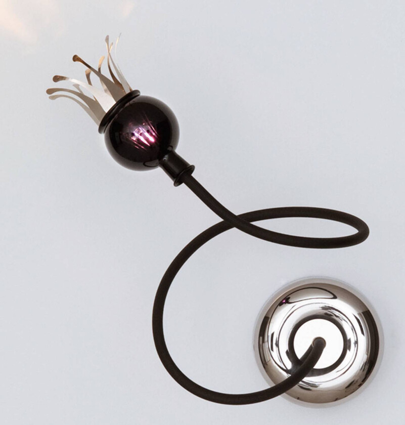 Designervegglampe Poppy med fleksibel arm