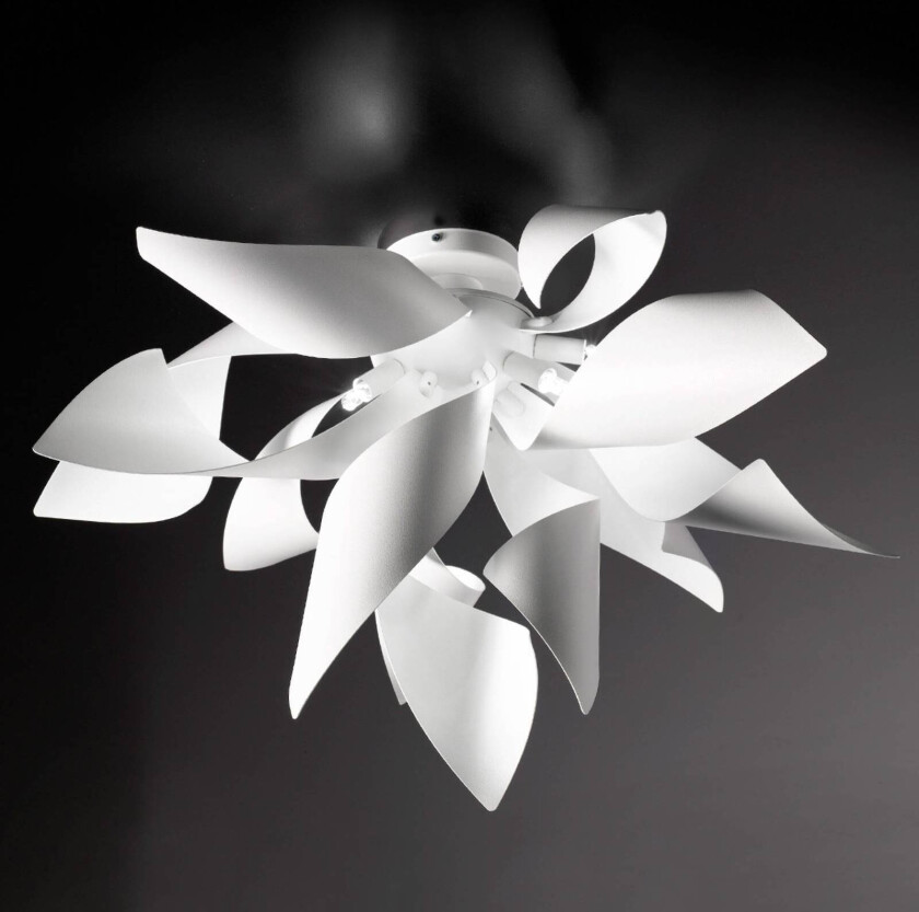 Designer taklampe Ginger, 50 cm