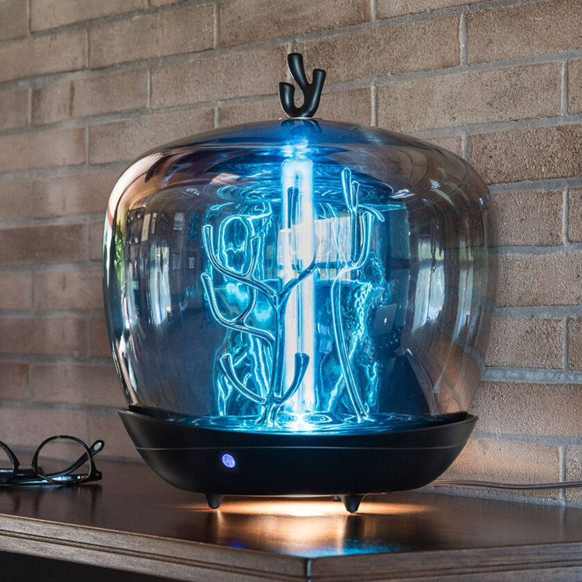 PurityCapsule LED-bordlampe, UV-C, svart