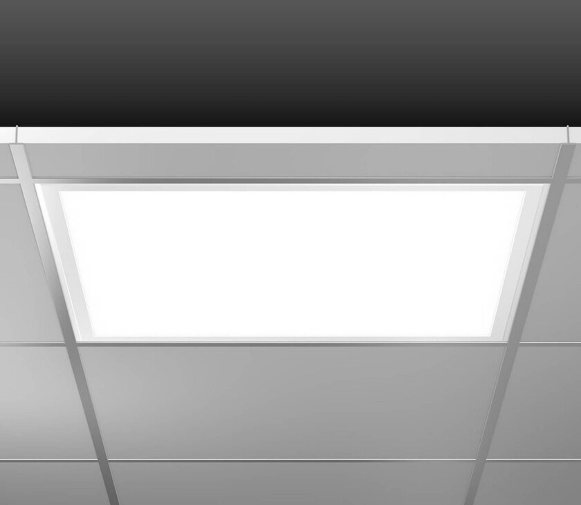 RZB Sidelite Eco LED-panel DALI 62,2cm 29W 840