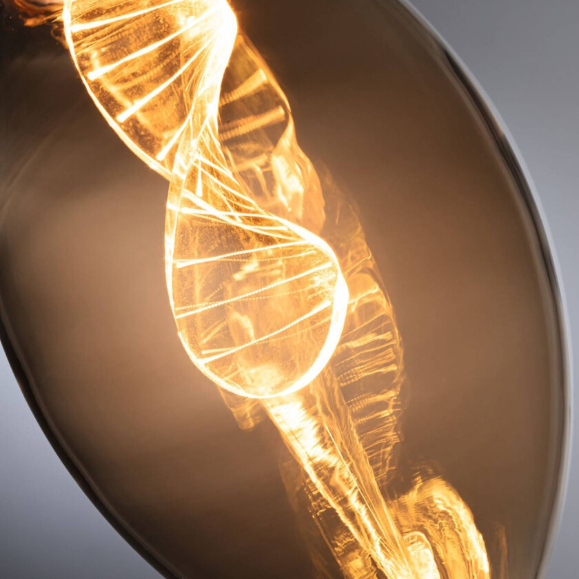 LED-pære E27 3,5 W Helix 1 800K gull