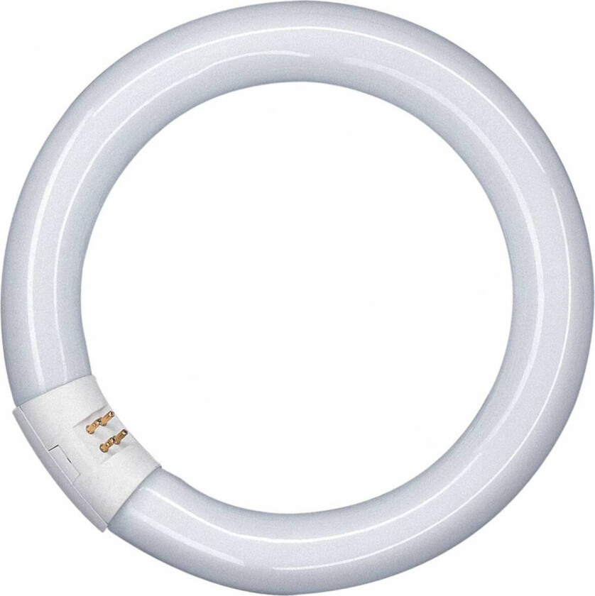 G10q 32W 865 Lumilux T9C sirkellysrør