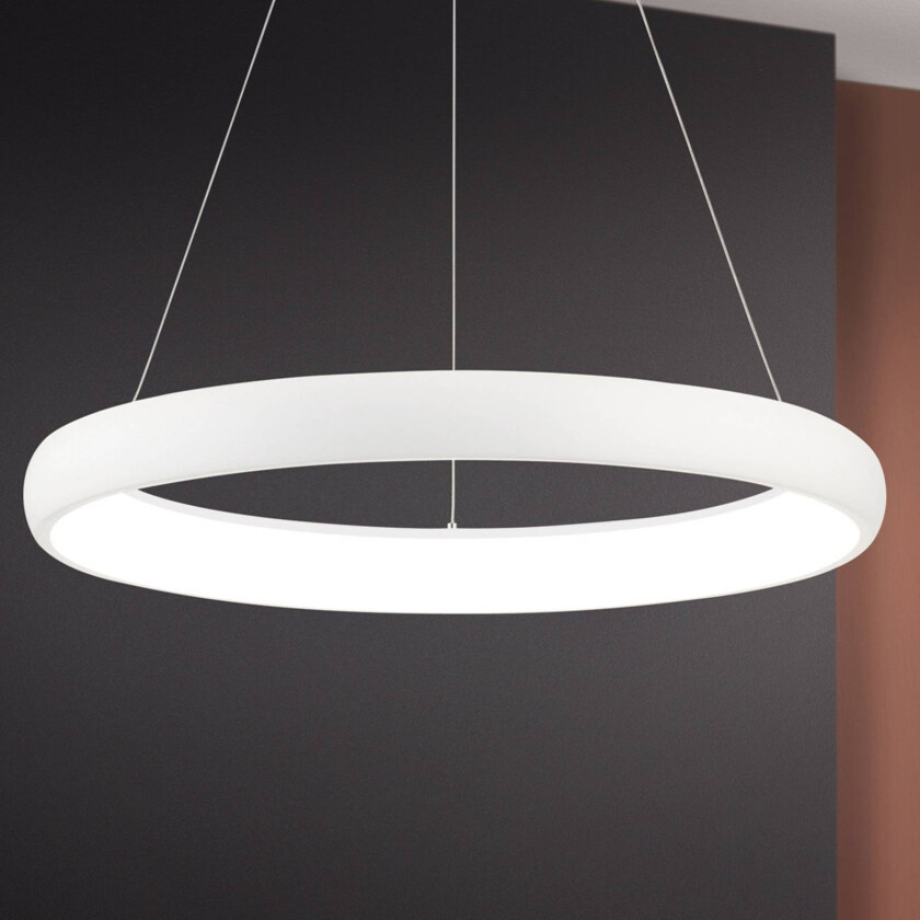 LED-hengelampe Venus i ringform
