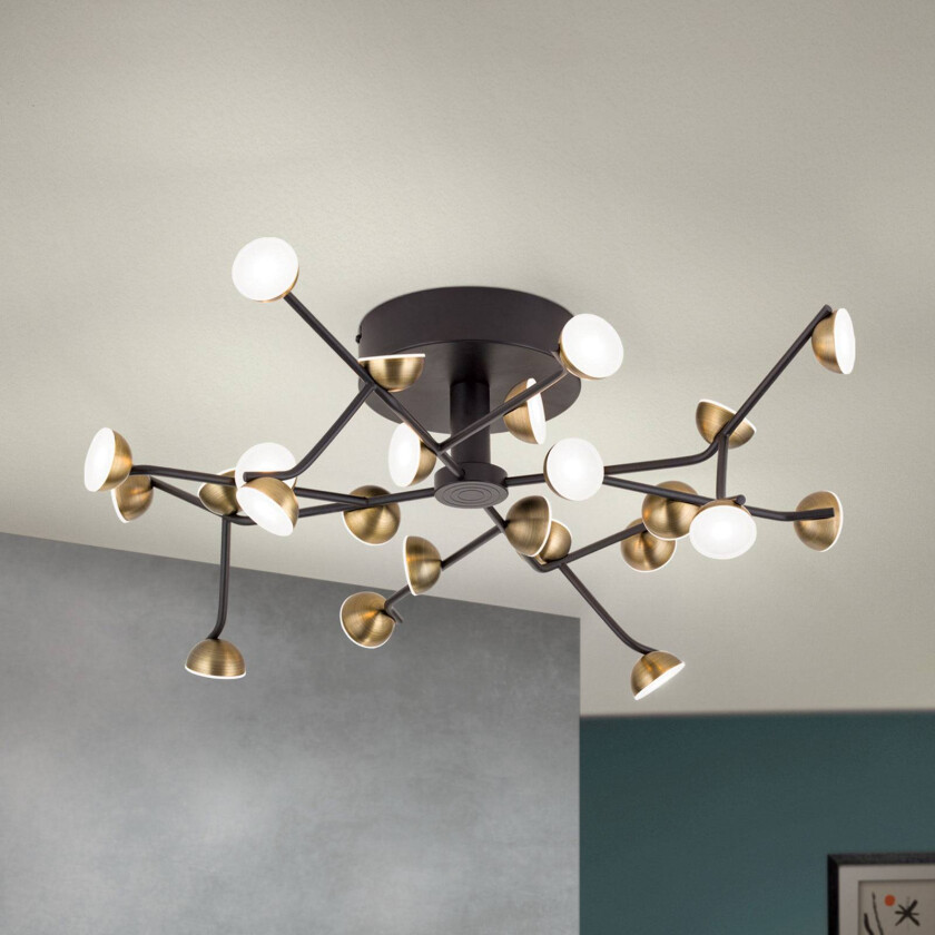 LED-taklampe Blossom, 24 lyskilder