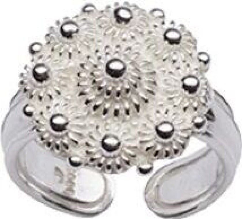 Bunadsring Agder i 830 hvitt sølv med kruser