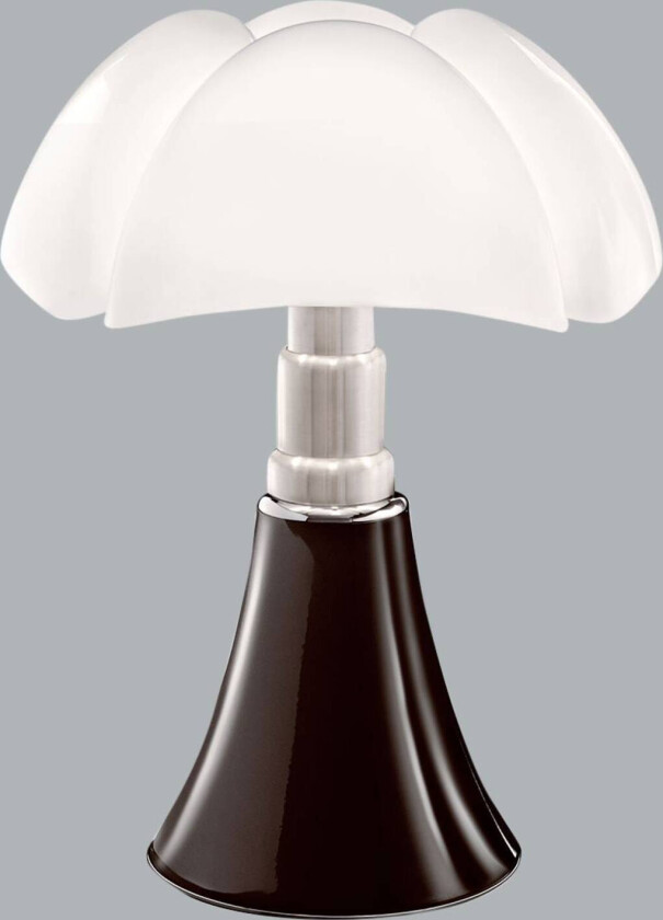 Minipipistrello bordlampe, brun