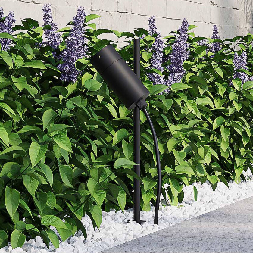 Chopa LED-bakkepigglampe, høydejusterbar lyskaster