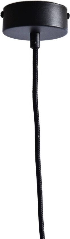 Nux hengelampe høy, engblomst, svart