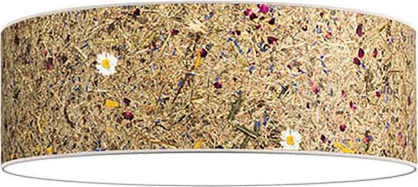 Discus taklampe 35cm alpin eng