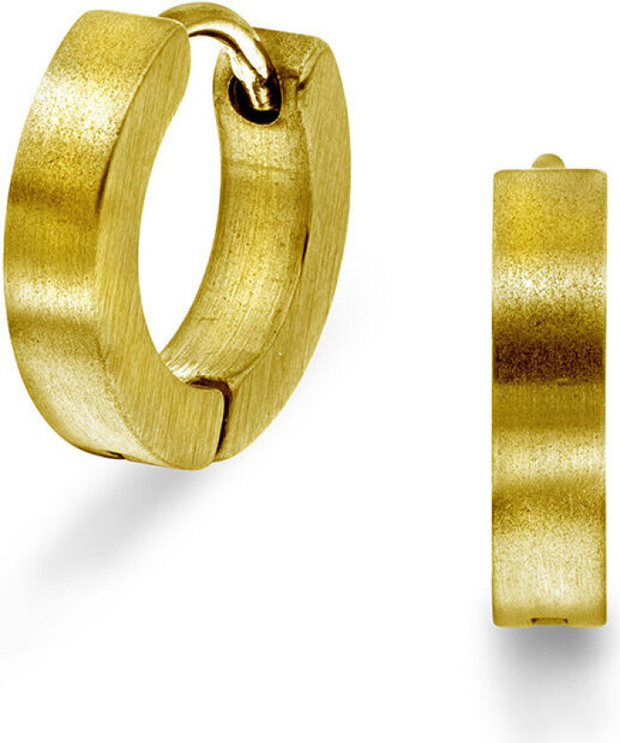 , Øreringer i forgylt stål