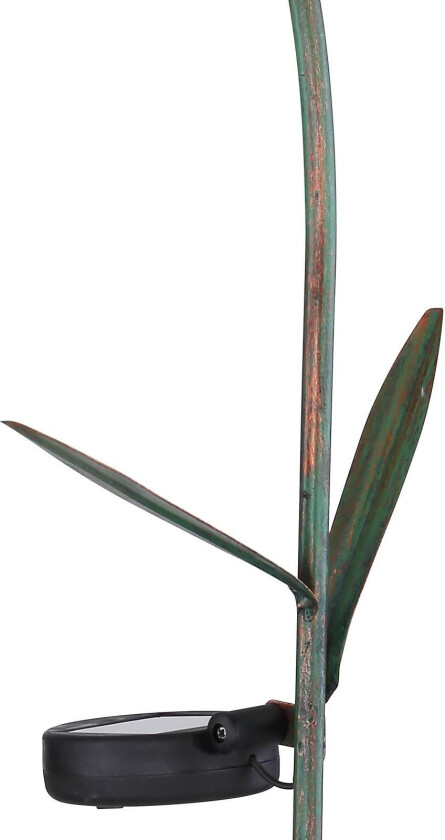 Solcelle-dekolampe 33653 jordspyd. enkel blomst