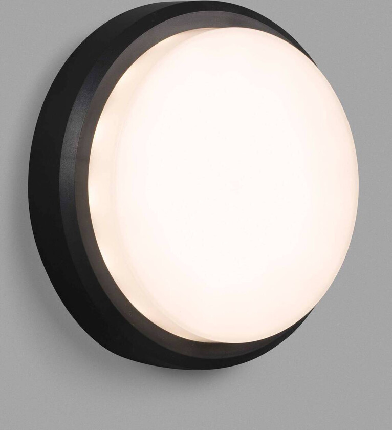 Utendørs LED-vegglampe Tom XL, IK10, mørkegrå/hvit