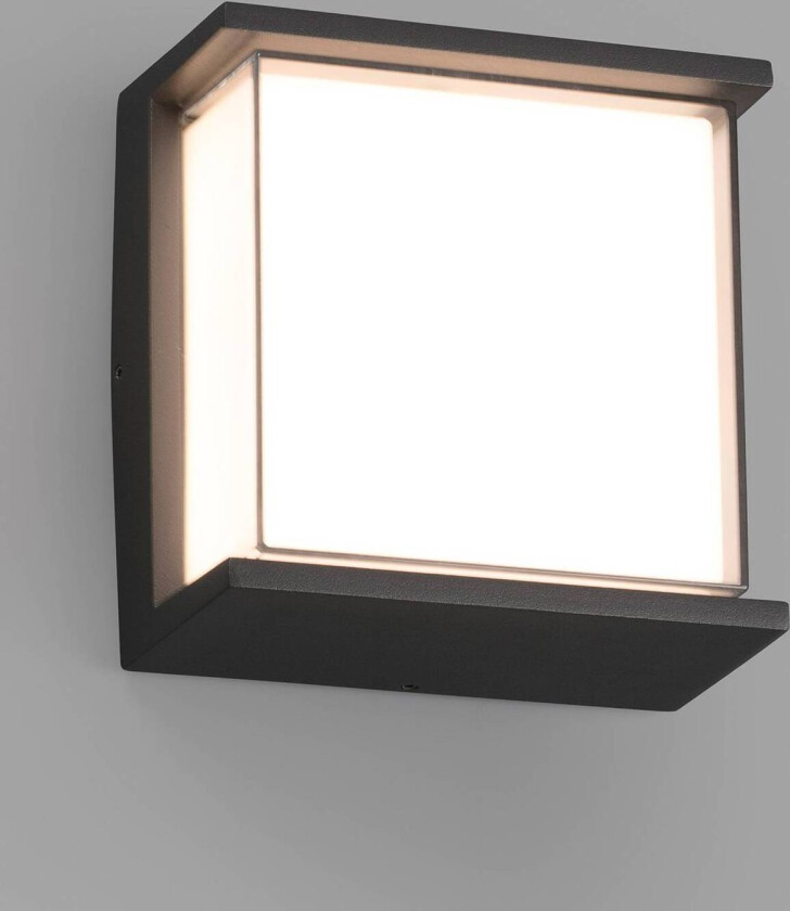 Utendørs LED-vegglampe Hikari, IK10