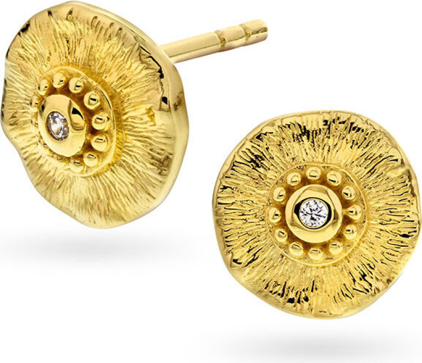 , Øredobber i sølv med zirkonia