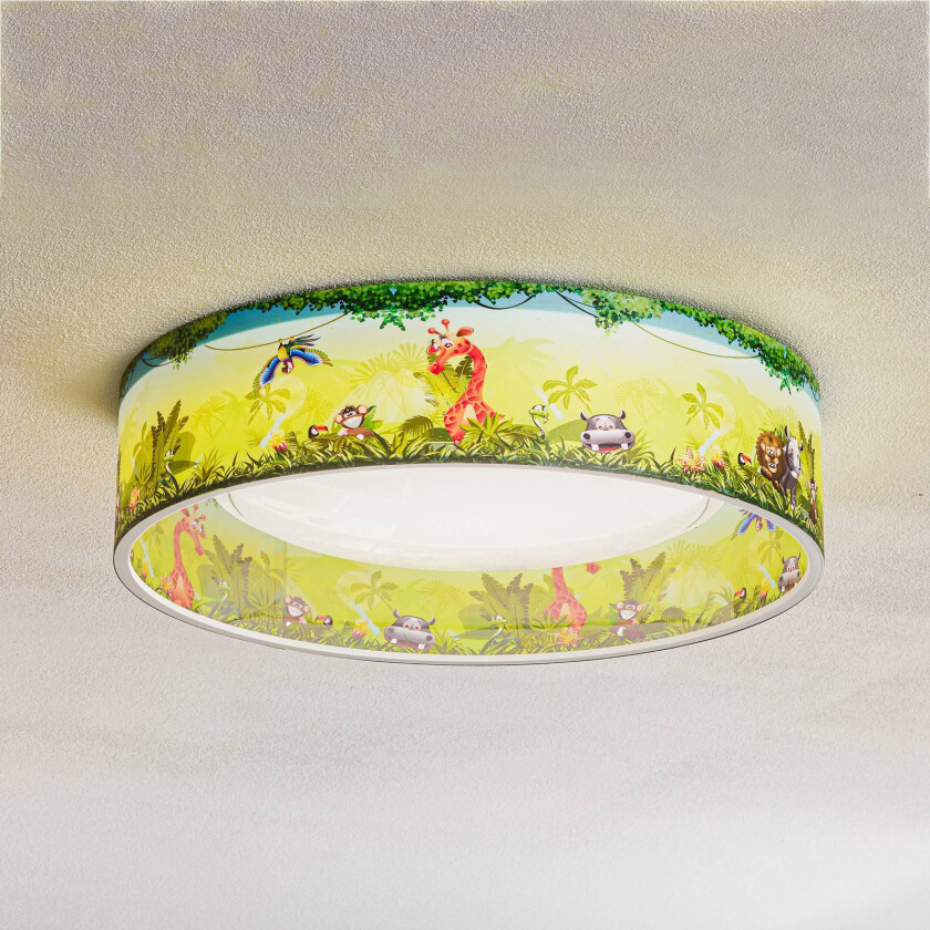 LED-taklampe Wilderness Starlight