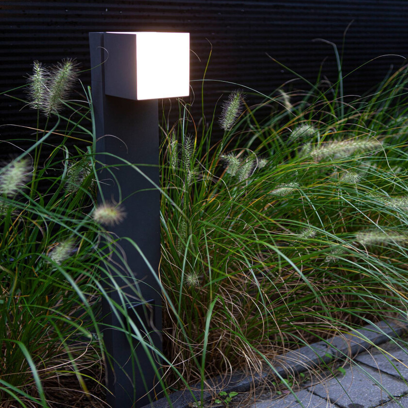 Cuba LED-veilampe, antrasitt med stikkontakt