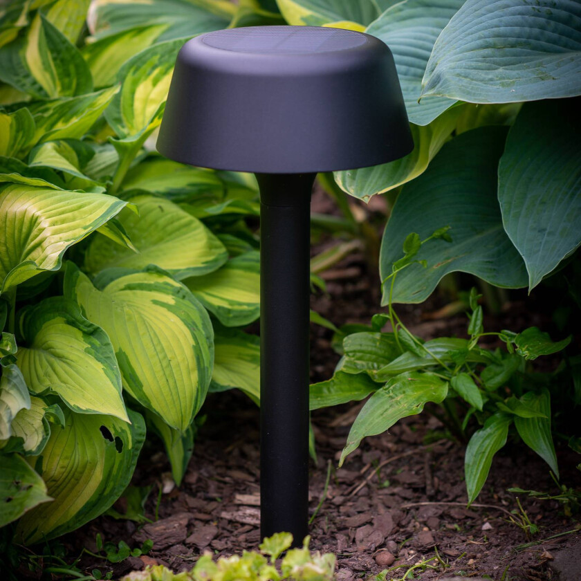 Valencia solcellelampe, svart