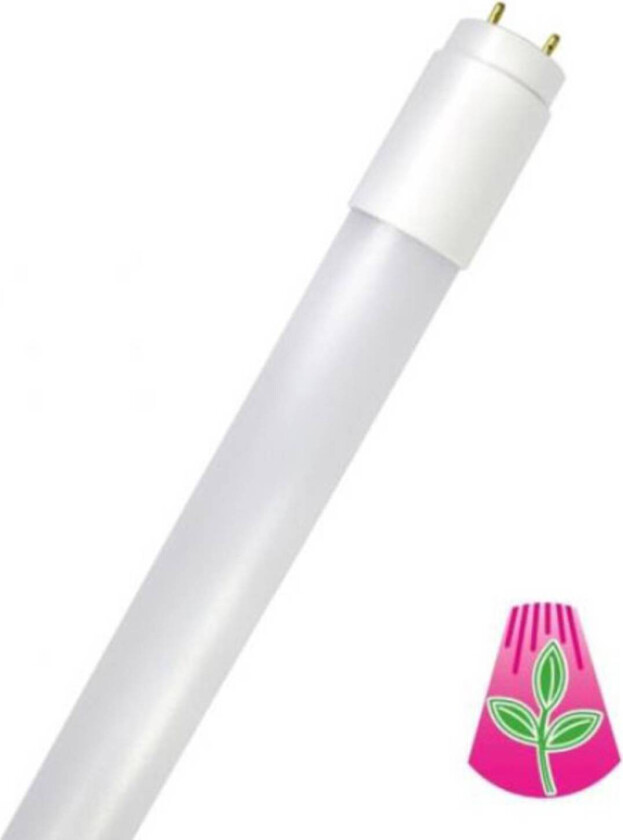 LED lysrør GoLeaf T8 G13 fullspektret 8W 60cm