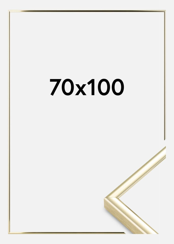Ramme  Premium Classic Gull 70x100 Cm