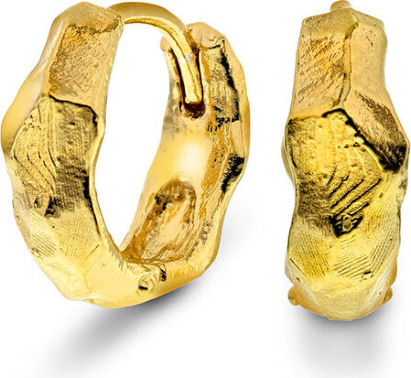 Shapes by Gulldia, Haze øreringer i forgylt 925 sølv