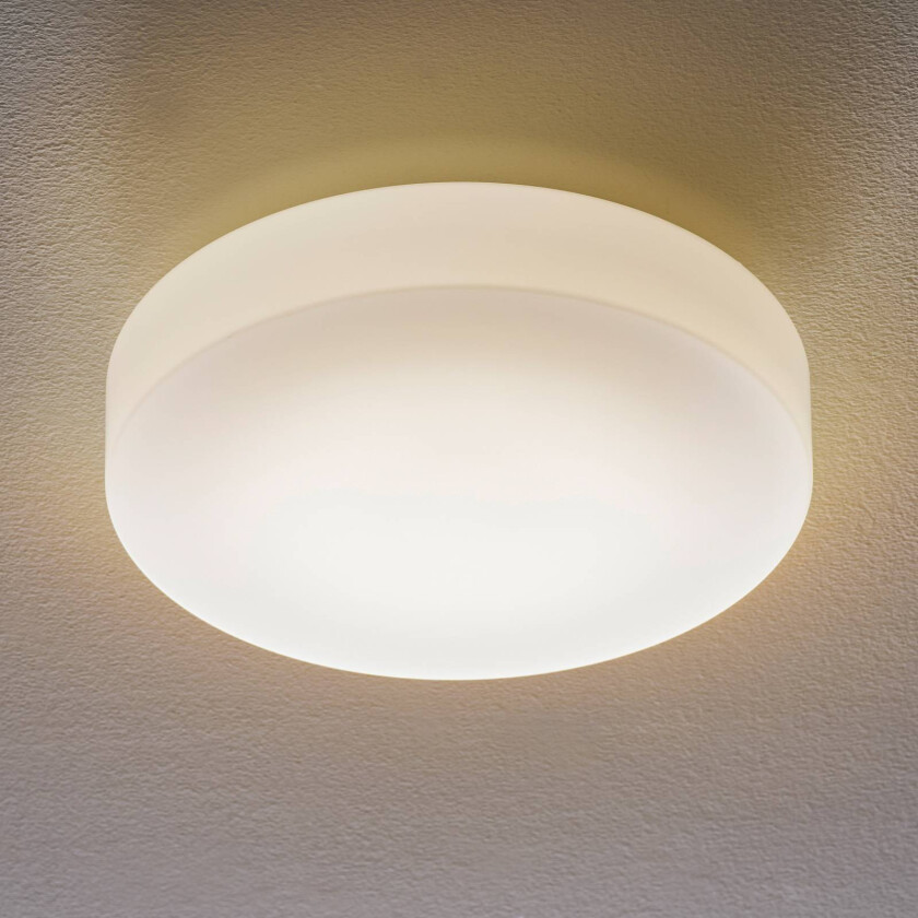 50651 LED-taklampe opalglass 3 000 K Ø34cm