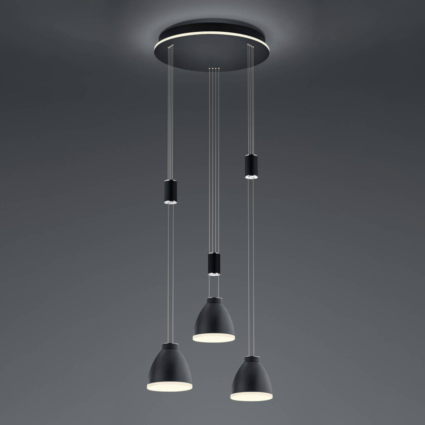 LED-hengelampe Leni, 3 lyskilder, rund, svart