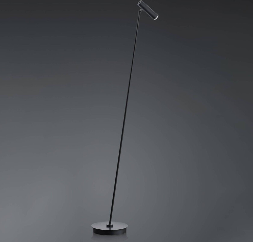 LED-gulvlampe Tom, dimbar, svart