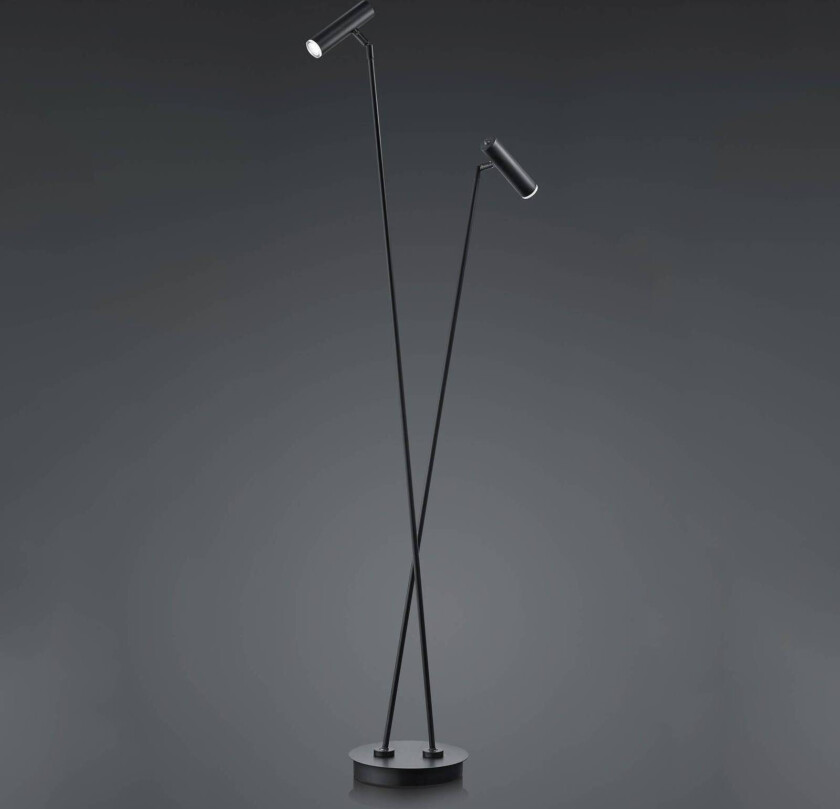 LED-gulvlampe Tom, 2 lyskilde, svart