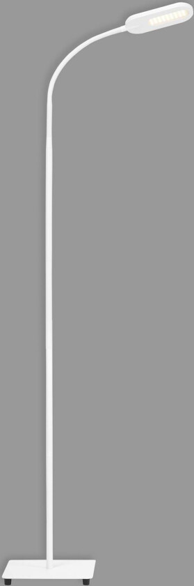 LED-gulvlampe Office Step, hvit, dimbar, CCT