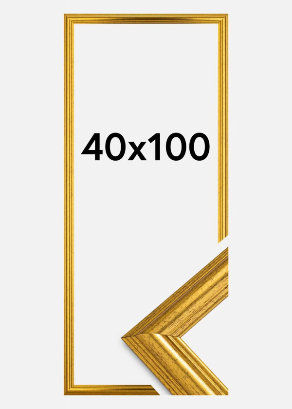 Ramme Västkusten Akrylglass Gull 40x100 Cm