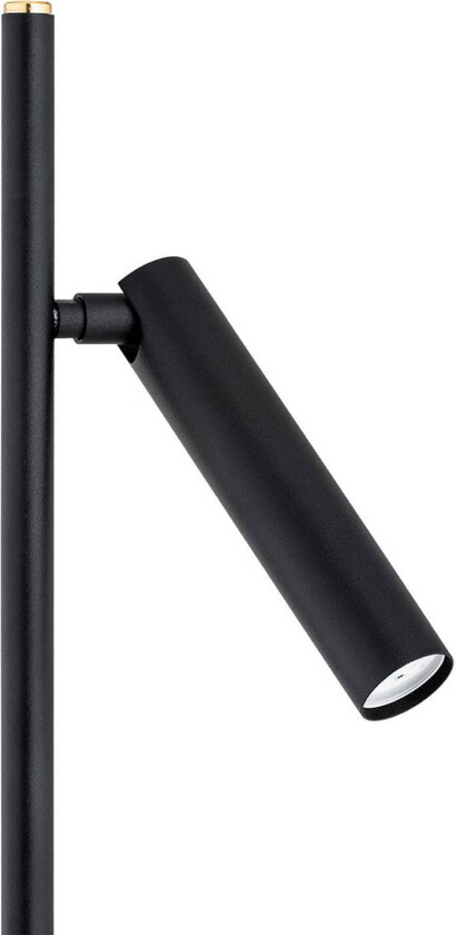 Torre gulvlampe, to lys, svart