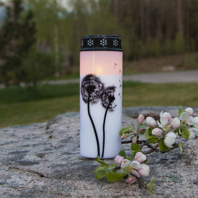 Bilde av LED gravlys Løvetann, 21 cm hvit/svart plast batteri