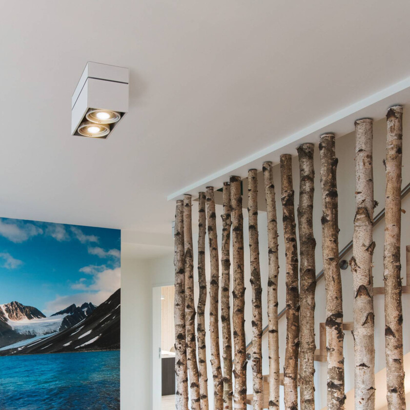 Kardamod taklampe, hvit, stål, lengde 31,5 cm, 2 lyskilder.