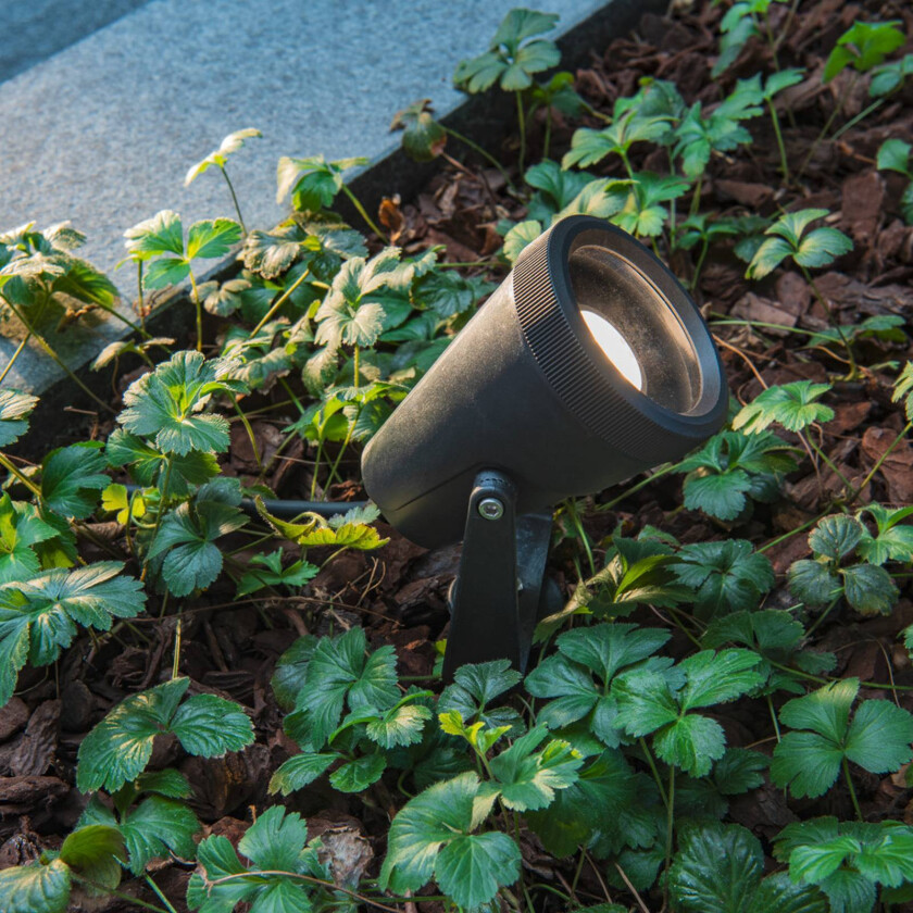 Samrina lampe med jordspyd, svart, plast, høyde 13 cm