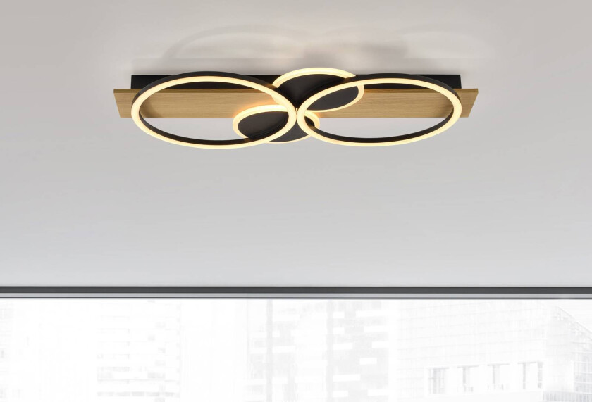 Trooper taklampe, jern, tre