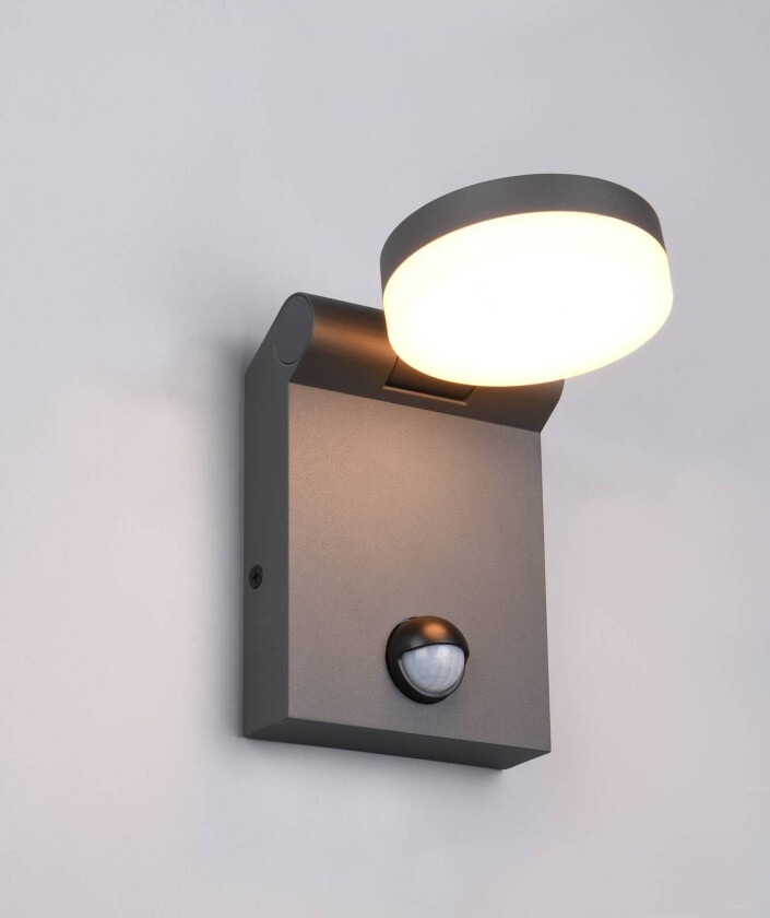 LED utendørs vegglampe Adour, antrasitt, sensor, vippbar, CCT
