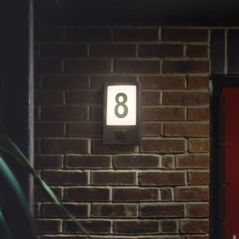 LED utendørs vegglampe Endura Style, mørkegrå, sensor