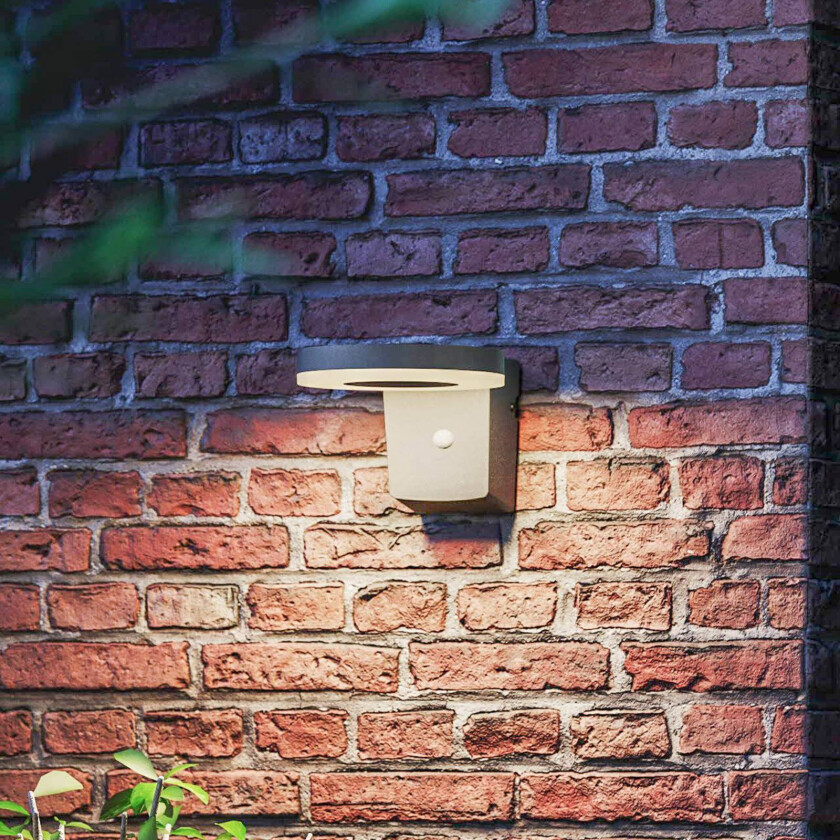 LED solcellevegglampe Zonal, Ø hode 16 cm